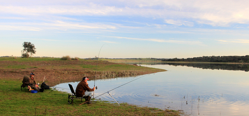 carpfishing