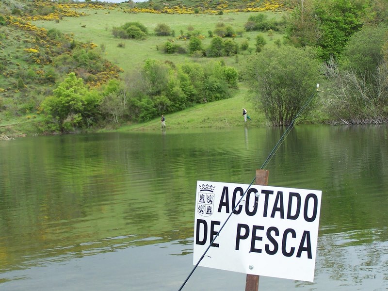 Cotos de pesca en Andalucía