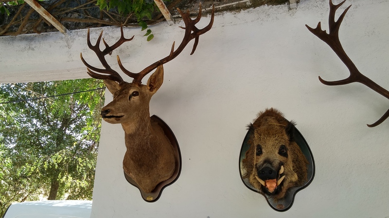 Montería en Andalucía