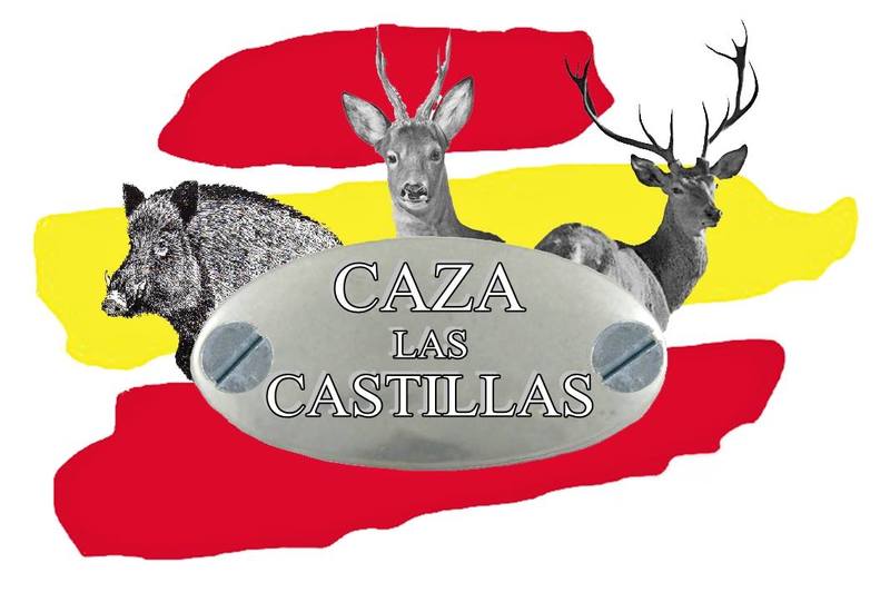 Image result for caza las castillas